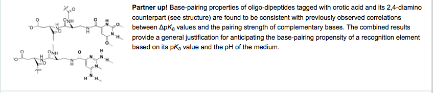 orotic acid tagged dipeptide